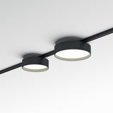 Deva Disc Track Downlight 10W 4000K - Black in situ