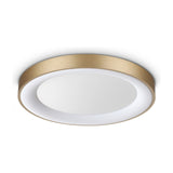 Planet Flush Ceiling Light 500mm - Brass