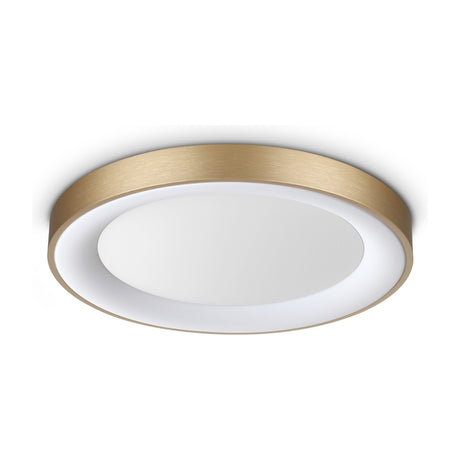 Planet Flush Ceiling Light 500mm - Brass