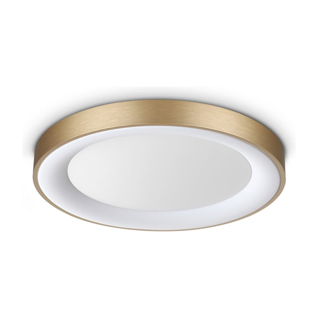 Planet Flush Ceiling Light 500mm - Brass