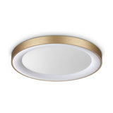 Planet Flush Ceiling Light 600mm - Brass