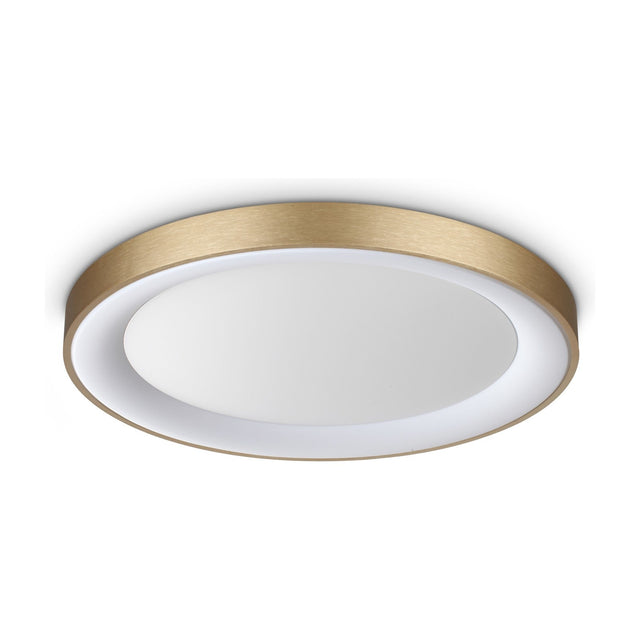 Planet Flush Ceiling Light 600mm - Brass