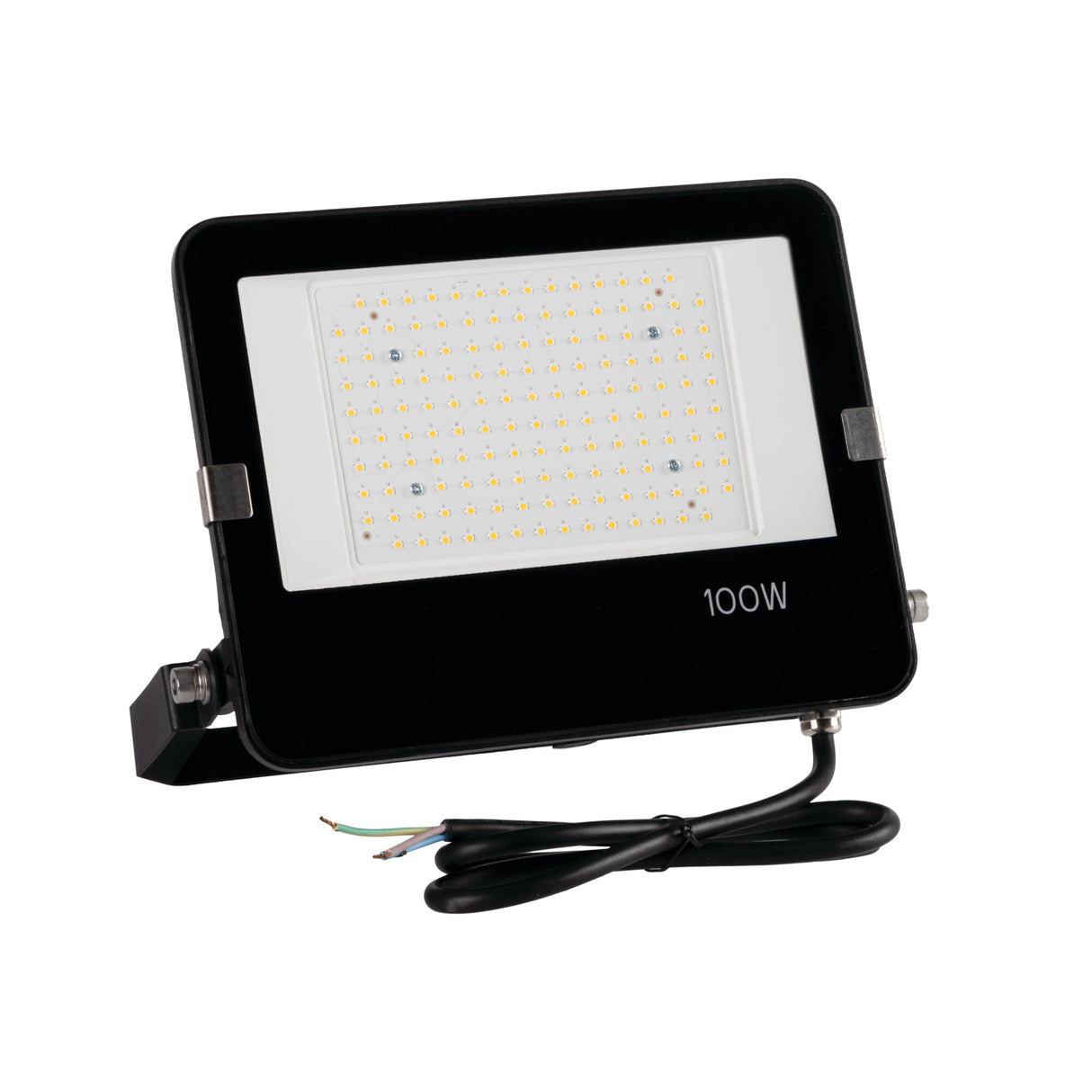 FL AGOR PRO 100W LED Floodlight 110 deg Cool White - Black