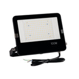 FL AGOR PRO 100W LED Floodlight 110 deg Cool White - Black