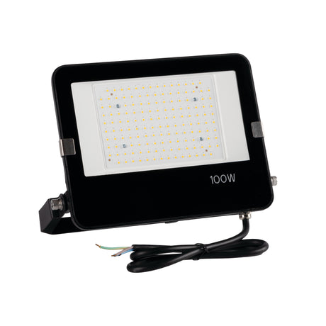FL AGOR PRO 100W LED Floodlight 110 deg Cool White - Black