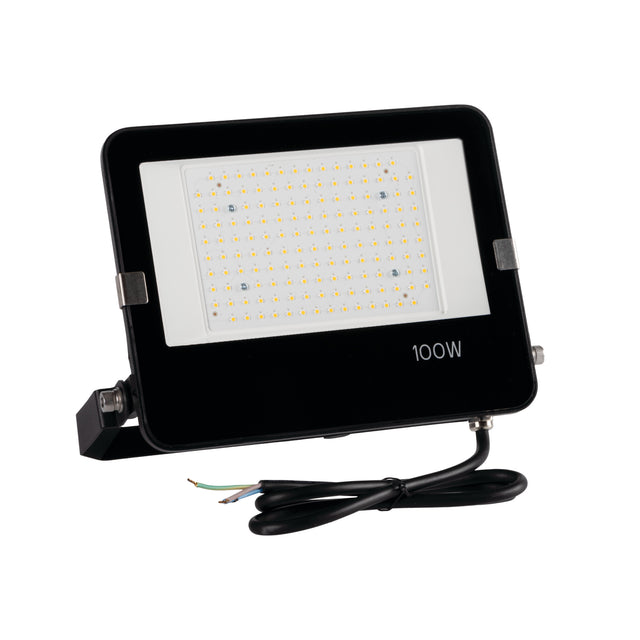 FL AGOR PRO 100W LED Floodlight 110 deg Cool White - Black