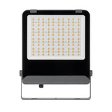 FL AGOR AIO 200W Colour Selectable Floodlight 90 deg IP65 - Black