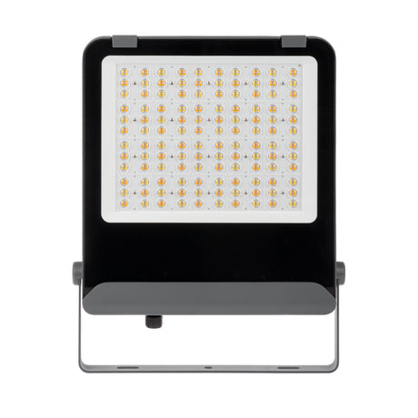 FL AGOR AIO 200W Colour Selectable Floodlight 90 deg IP65 - Black