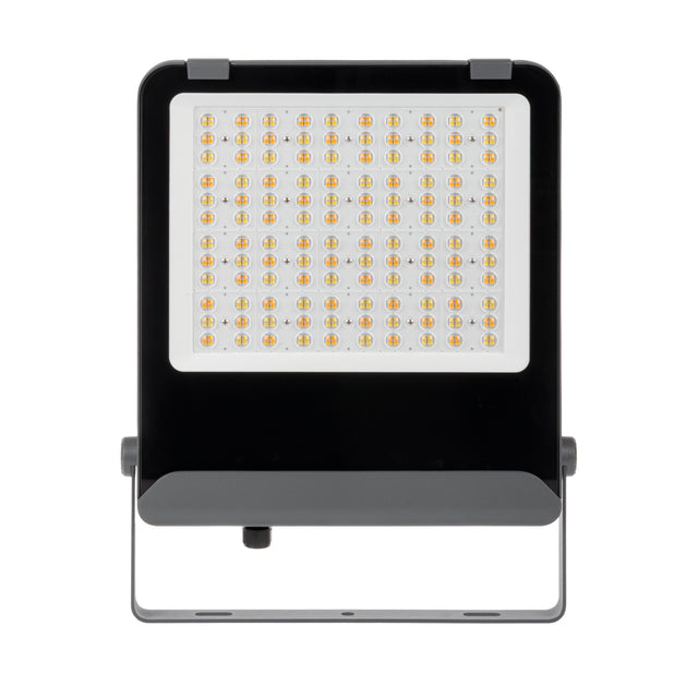 FL AGOR AIO 200W Colour Selectable Floodlight 90 deg IP65 - Black