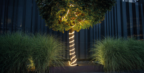 LED Rope Light 30m 60W Daylight IP65 - Outdoor