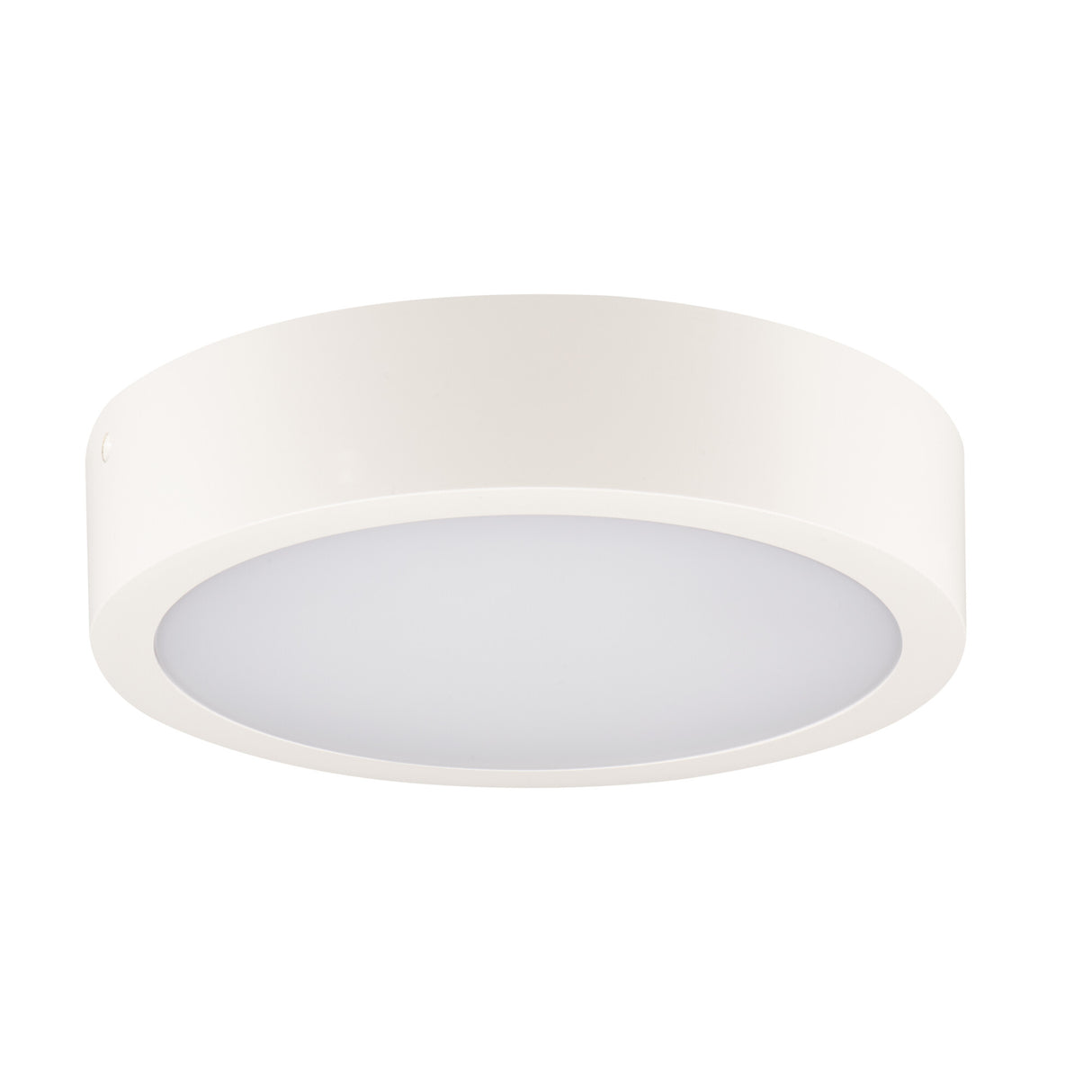 Daber Ø300 12-20W Round LED Ceiling Light IP66 Colour Selectable - White