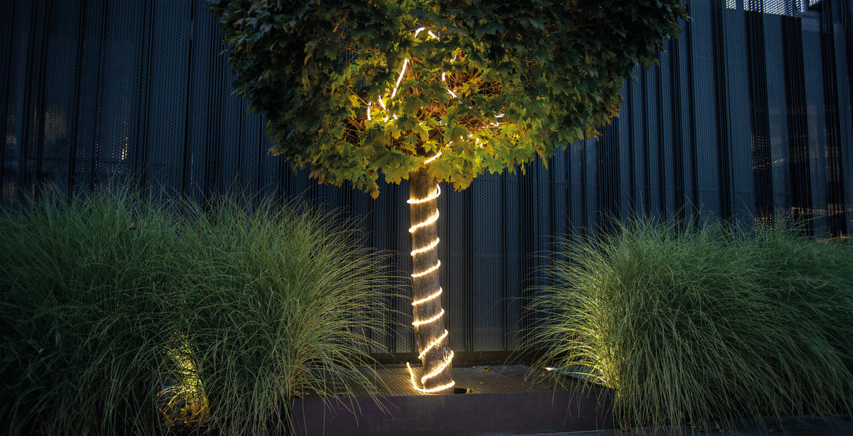 LED Rope Light 5m 10W IP65 Outdoor - Daylight