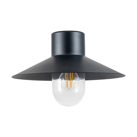 Carina Dark Grey Iron Outdoor Wall Light, 22cm, with a flat circular shade and exposed glass globe bulb, shown on a plain white background.