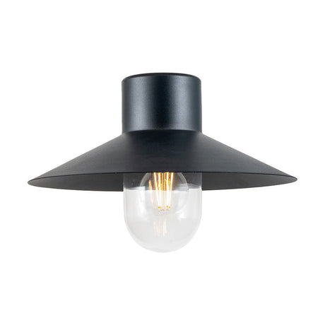 Carina outdoor wall light in dark grey metal with a flat disc shade and exposed glass bulb, shown on a plain white background.