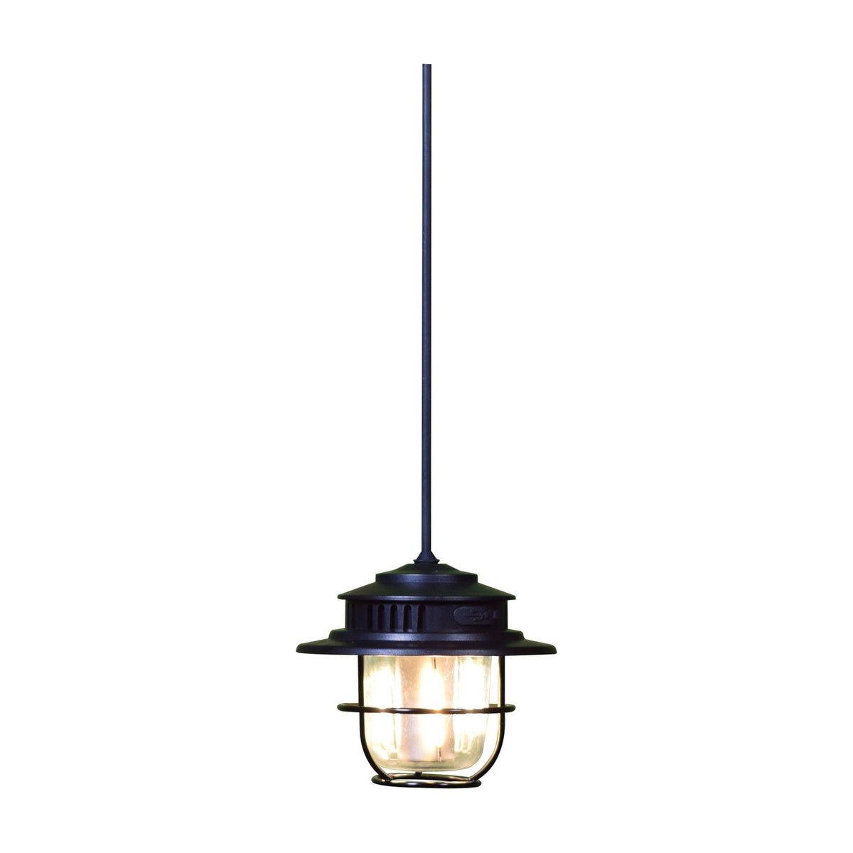 LYYT rechargeable LED outdoor lantern in matt black with wire cage, clear lens, and hanging cord, shown against a plain white background.
