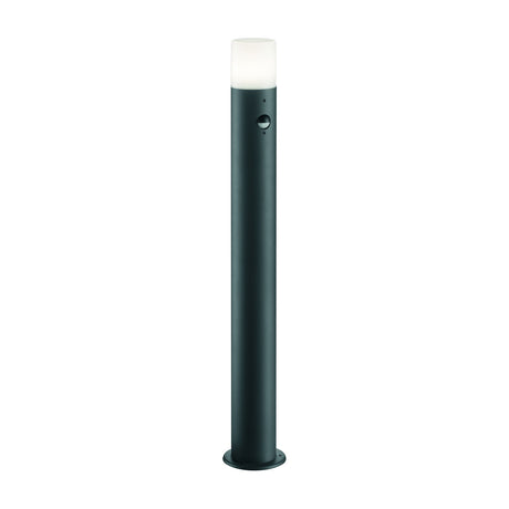 Hoosic 80cm PIR lamp post in anthracite, slim aluminium column with a white cylindrical diffuser and built-in motion sensor, on a plain white background.