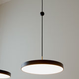 4259 in-situ 2