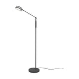 Franklin LED Floor Lamp – Anthracite