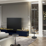 Franklin 2 Light LED Floor Lamp – Anthracite