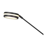 Franklin 2 Light LED Floor Lamp – Anthracite