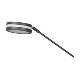 Franklin 2 Light LED Floor Lamp – Anthracite