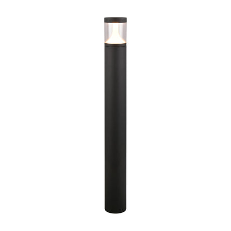 Tagus 100cm LED outdoor lamp post in anthracite aluminium, tall slim pole with a clear diffuser top, shown on a plain white background.