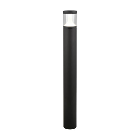 Tagus 100cm LED outdoor lamp post in anthracite aluminium, tall cylindrical body with a clear diffuser top, shown on a plain white background.