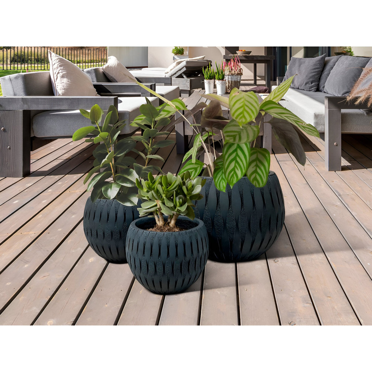 Yuca Set 3 Fiberclay Planters - Black