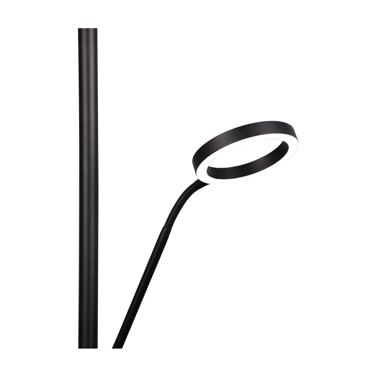 Willis 2 Light LED Floor Lamp – Matt Black