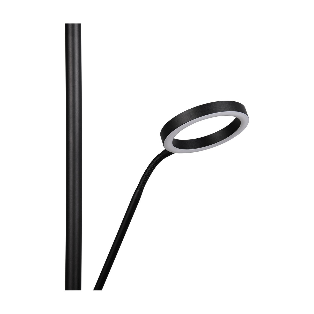Willis 2 Light LED Floor Lamp – Matt Black