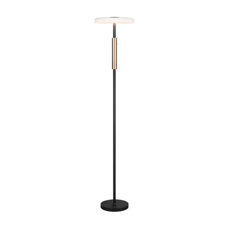 Celeste LED Wooden Floor Lamp – Matt Black