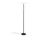 Celeste LED Glass Floor Lamp – Coffee