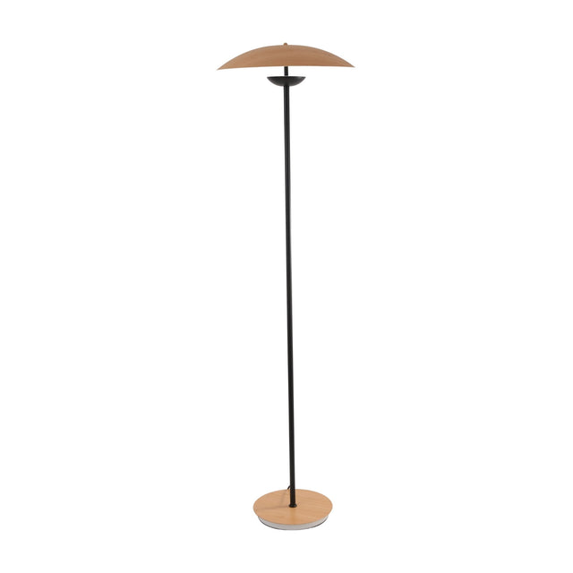 The Ex-Display Ginger LED Floor Lamp - Black & Oak features a slim black stand, round oak wood base, and matching shallow dome-shaped wooden shade—ideal for anyone seeking a stylish black and oak floor lamp design.
