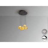 Zaria 5 Light Dimmable LED Cluster Pendant 21W 3000K - Gold