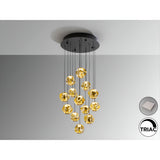 Zaria 13 Light Dimmable LED Cluster Pendant - Black/Gold (With Remote Control)