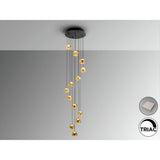 Zaria 13 Light Dimmable LED Cluster Pendant - Black/Gold (With Remote Control)