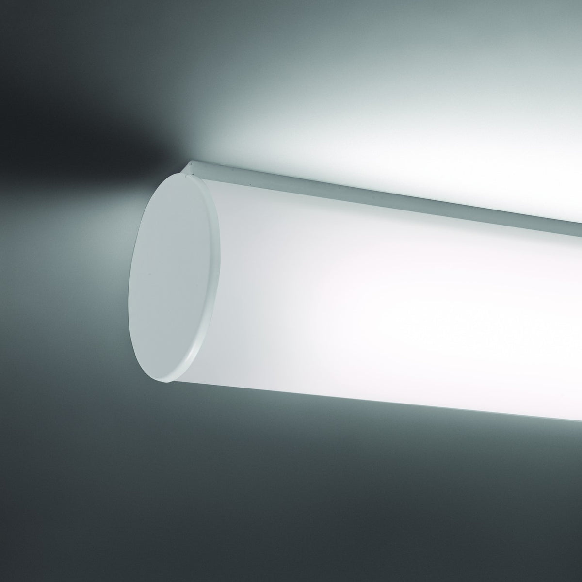 Bath A LED Linear Pendant Light in white, close-up of the cylindrical polycarbonate diffuser with rounded white end cap, glowing warm white against a dark background.
