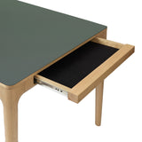 5666 in-situ 2