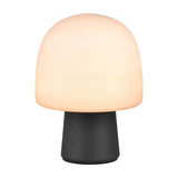 Steen Glass Table Lamp – Black