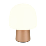 Steen Glass Table Lamp – Brown