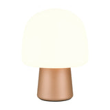 Steen Glass Table Lamp – Brown