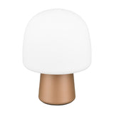 Steen Glass Table Lamp – Brown