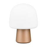 Steen Glass Table Lamp – Brown