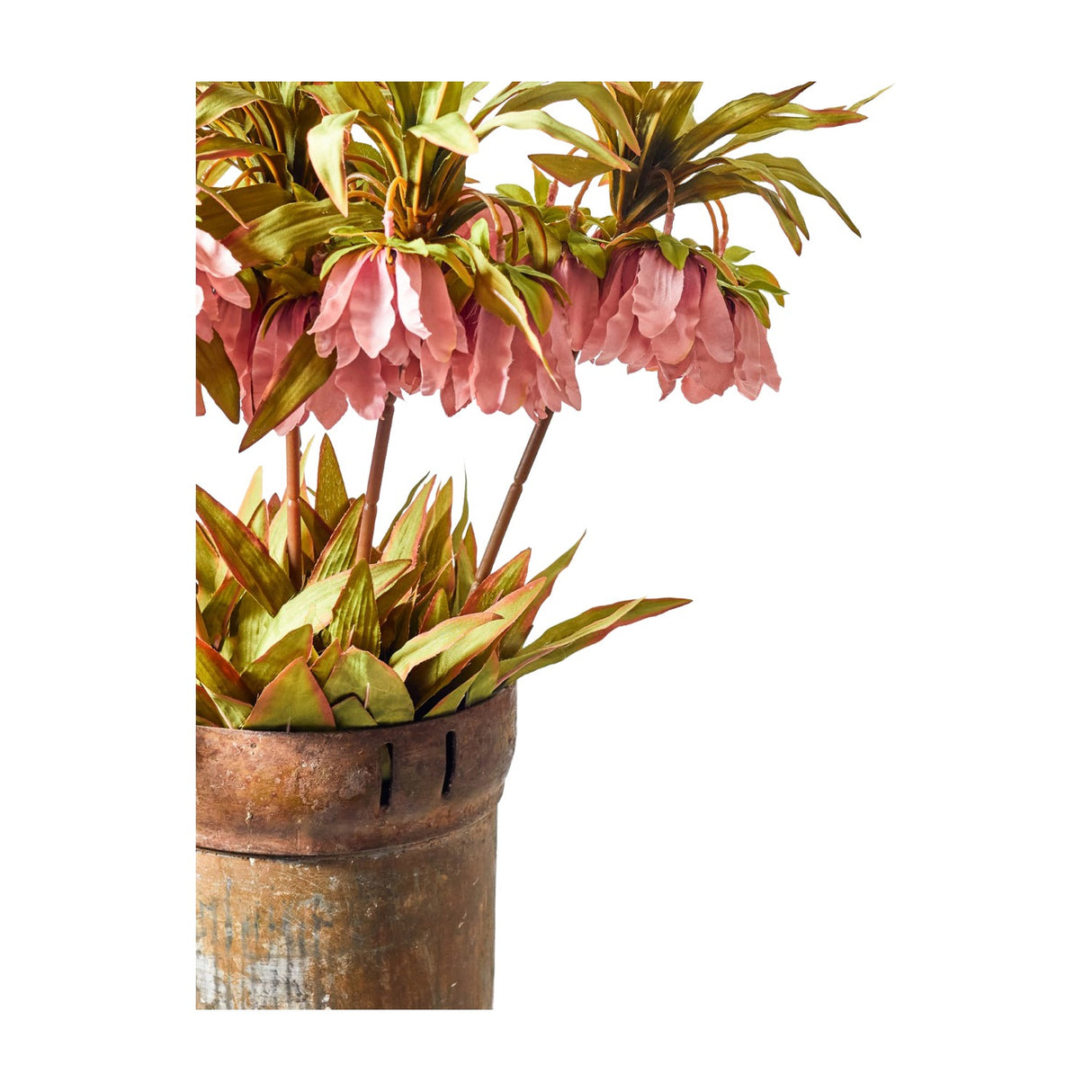 Libra Interiors Faux Fritillaria Crown stems with drooping dusky pink bell blooms and green leaves, arranged in an aged rustic metal urn on white.