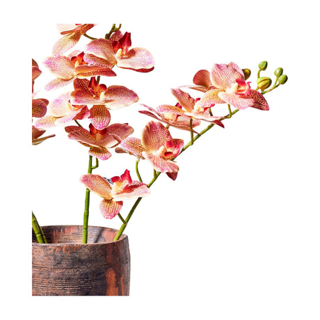 Libra Interiors textured faux orchid stem with pink and cream speckled blooms and green buds, arranged in a rustic wooden pot against a white background.
