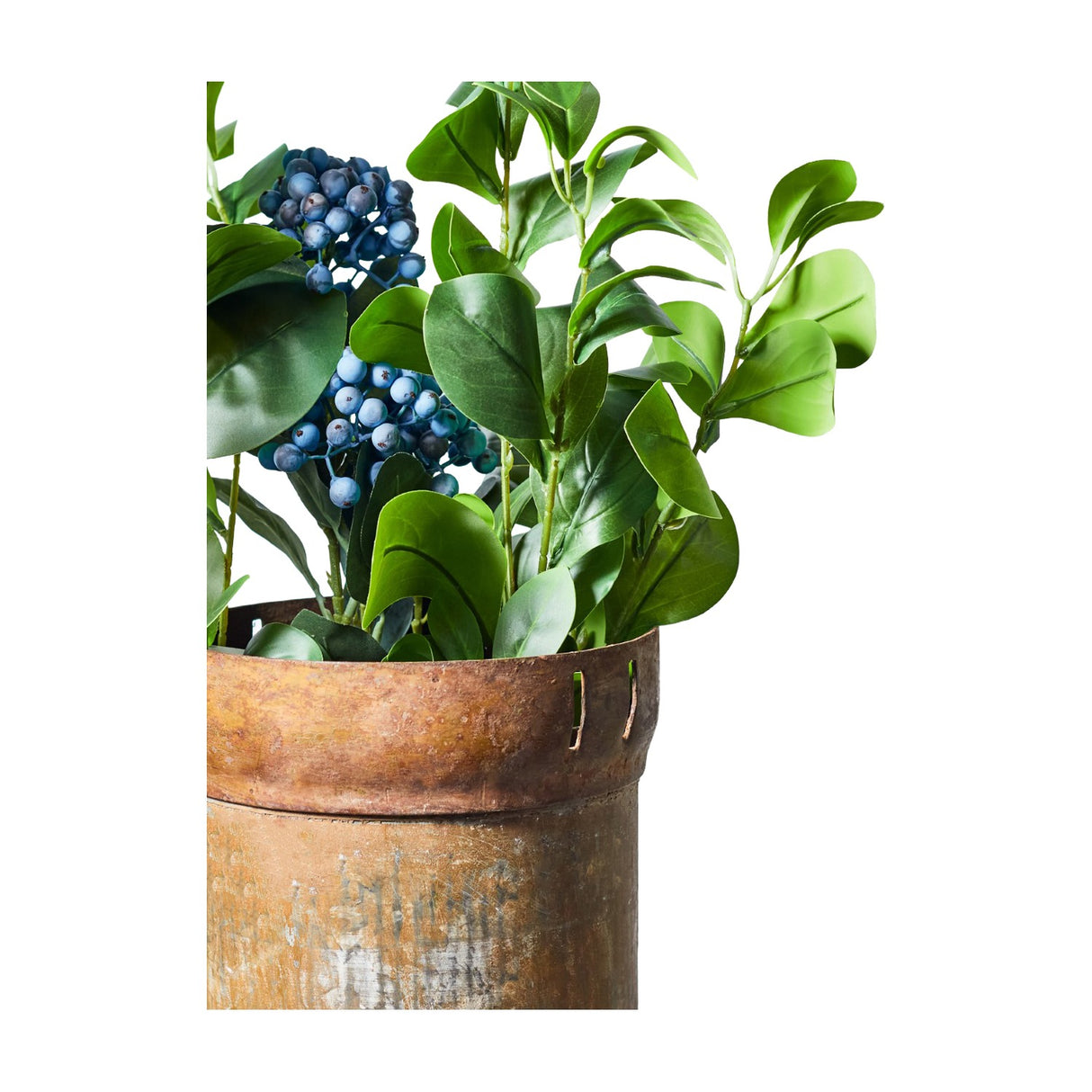 Libra Interiors Textured Clusia Branch faux plant with glossy green leaves and blue berry clusters displayed in a rustic aged metal pot.