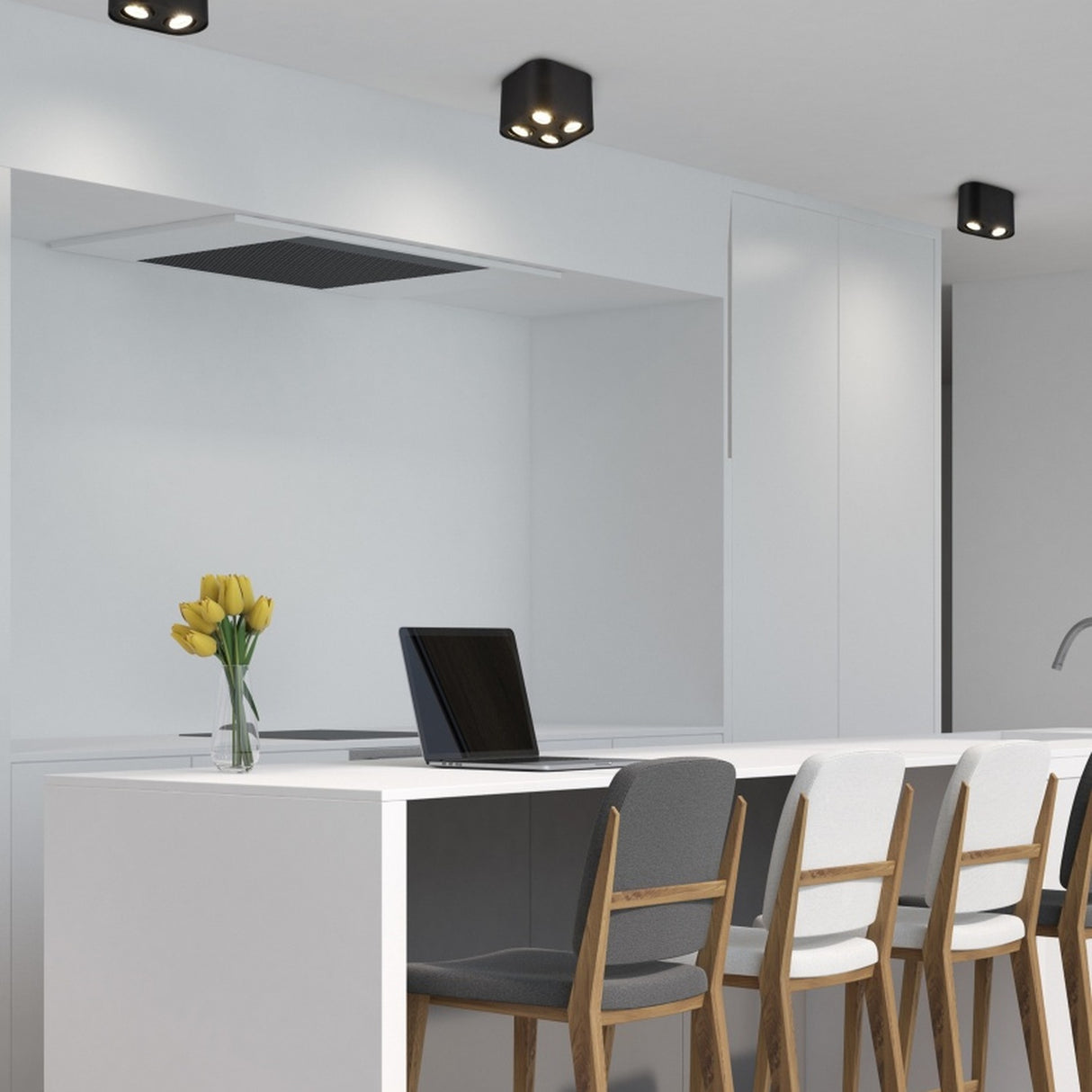 Cookie 2 Light Ceiling Light – Matt Black