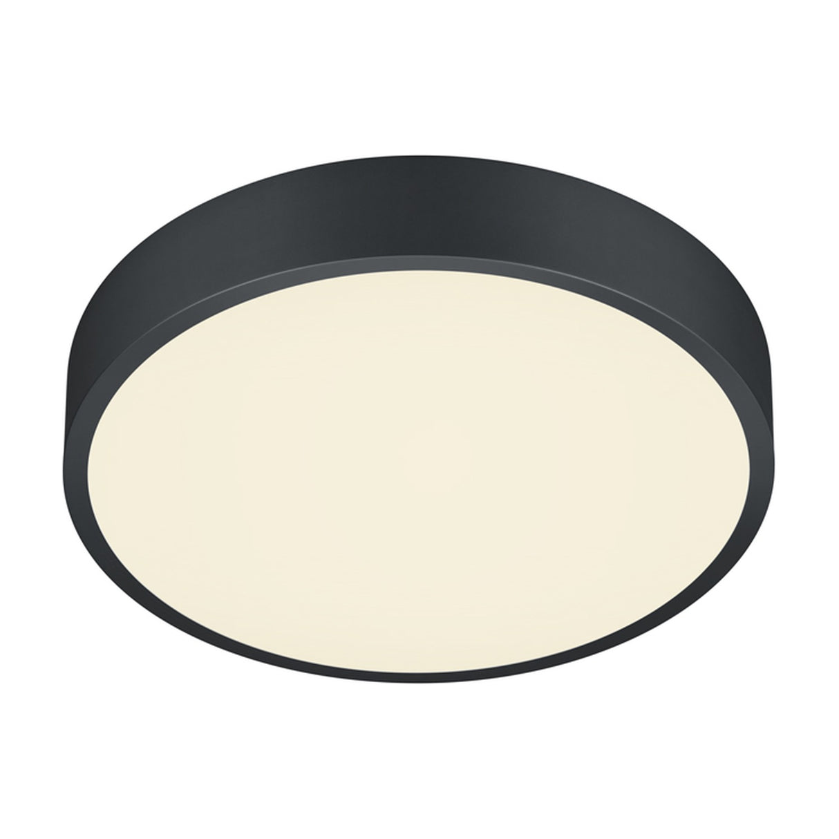 Waco 31cm LED Ceiling Light – Matt Black