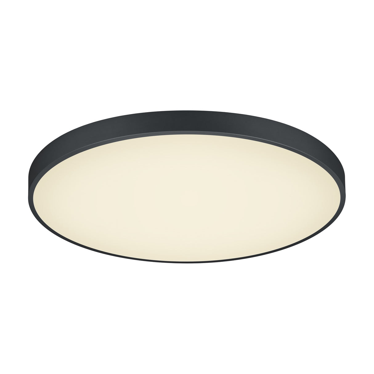 Waco LED Ceiling Light – Matt Black