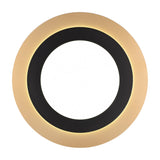 Morgan LED Remote Control Ceiling Light – Black & Gold